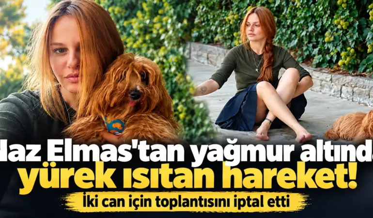 Ünlü oyuncudan örnek davranış! Hırkasını çıkarıp sokak köpeklerini kurtardı